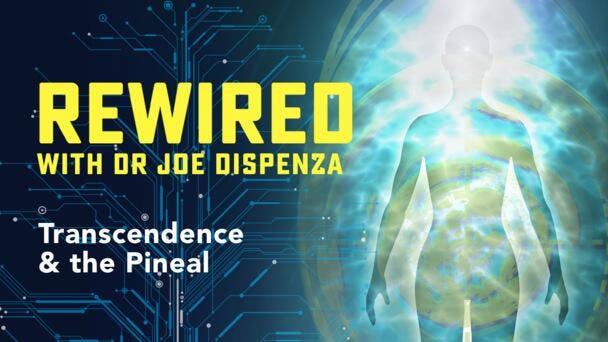 Transcendence & the Pineal
