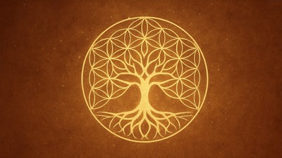 Tu proyecto como un ser vivo