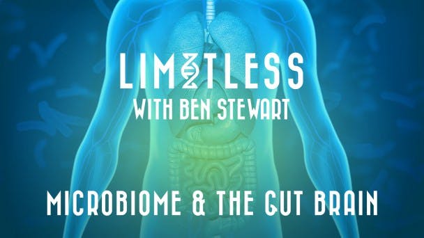Microbiome & the Gut Brain