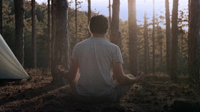 Reconnect with Nature 