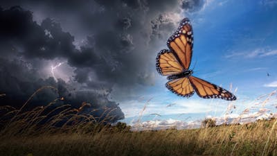 How to Move Beyond Pain and Suffering Using Hypnosis
