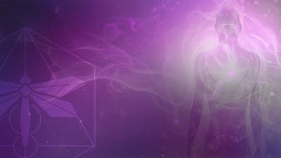 Trauma & Quantum Possibilities