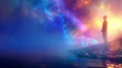The Hidden Structure of the Soul Revealed