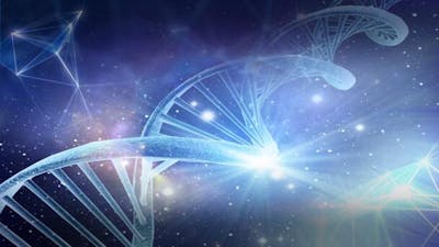 Activate Your Cosmic DNA