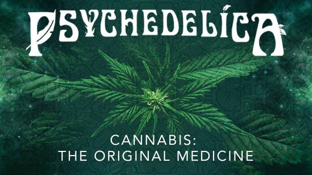 Cannabis: The Original Medicine
