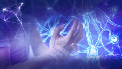 Energizing & Regenerating the Body's Cells