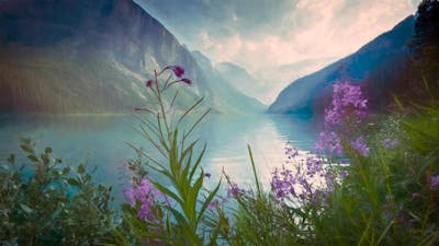 Root Connection - First Chakra