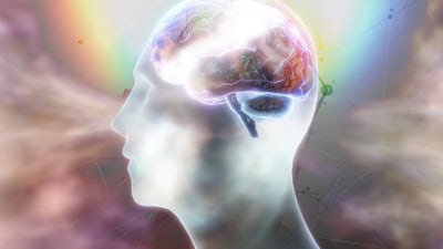 Research Shows Times of Unrest Result in Increased Neuroplasticity