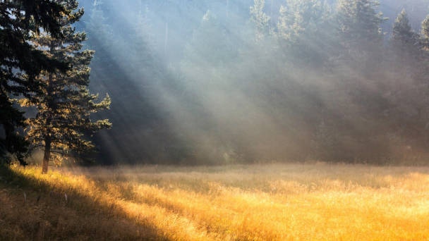 Meditación de relajación