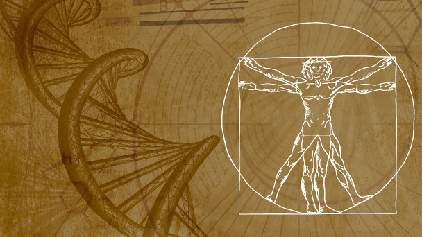 La Consciencia y el Cuerpo