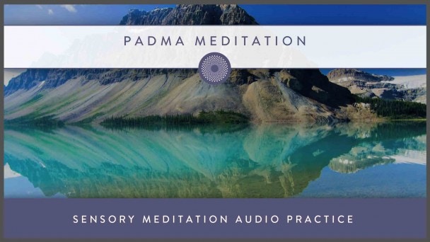 Sensory Meditation AUDIO PRACTICE