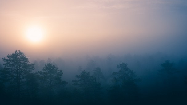 Release the Day: Audio Meditation