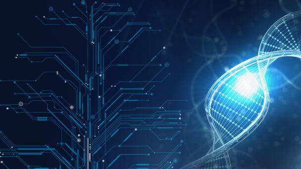 Neuprogrammierung der Gene