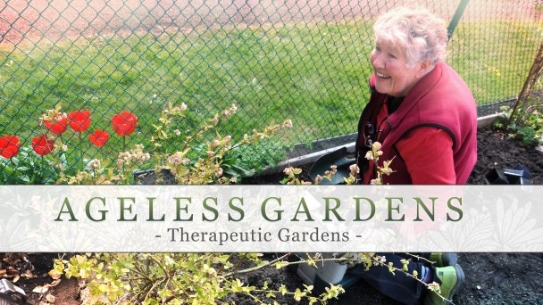 hospice nurse reveals the unexplained phenomena hospice nurse reveals the unexplained phenomena