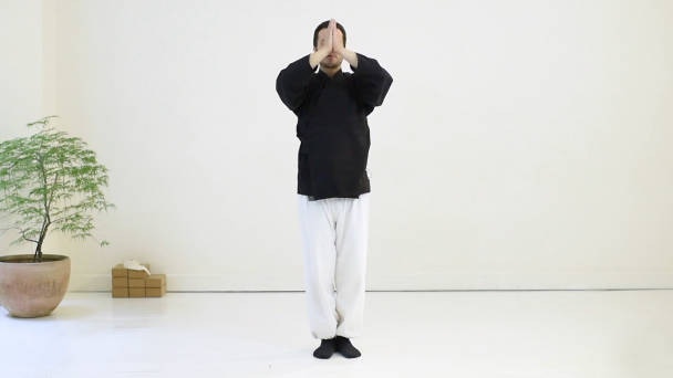 Le Qi Gong des 5 éléments