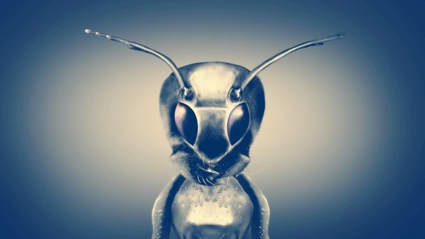 Compañeros de trabajo extraterrestres