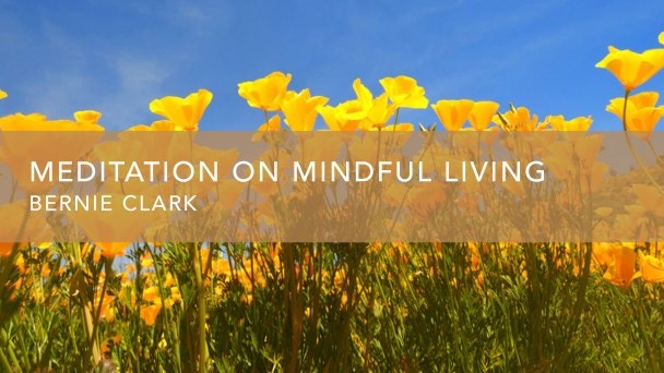 Meditation on Mindful Living