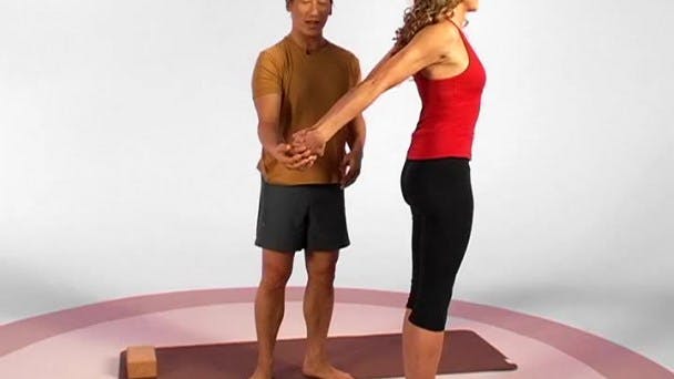 Mountain Pose Variations Gaia