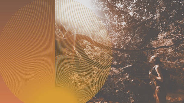 Je suis : la nature divine