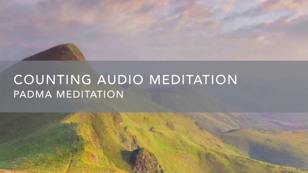 Foundation: Meditation Practice