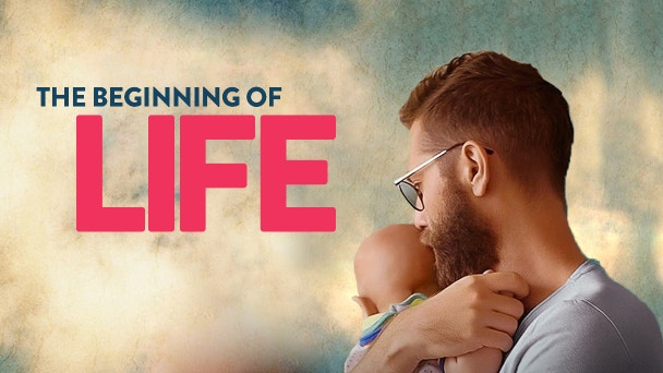 the beginning of life summary