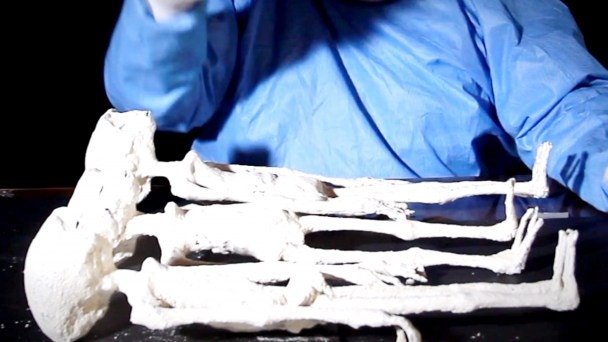 ¿Son Humanos? - Are They Human?