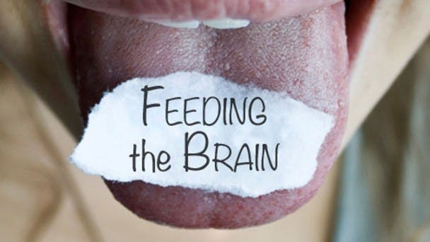 Feeding The Brain Gaia