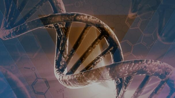 Eslabones perdidos de la evolución humana