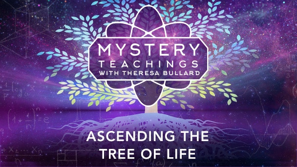 Ascending The Tree Of Life