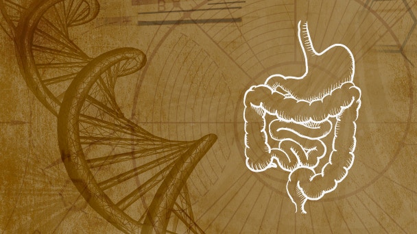 Inmunidad y el Microbioma