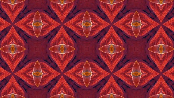 Meditación Muladhara Chakra