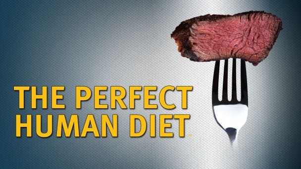 The Perfect Human Diet Gaia