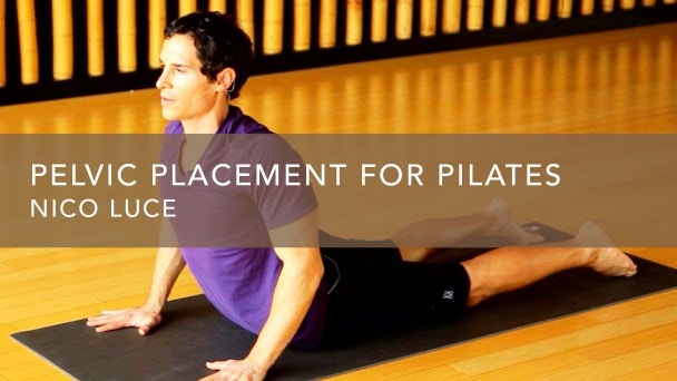 Pelvic Placement For Pilates Gaia Pelvic Placement For Pilates Gaia